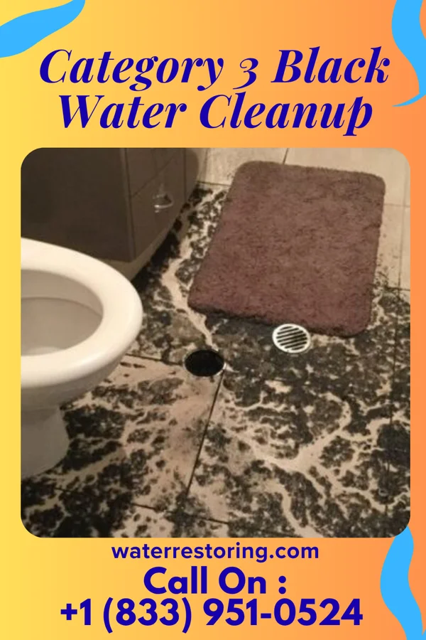 Category 3 Black Water Cleanup in St. Maurice, LA