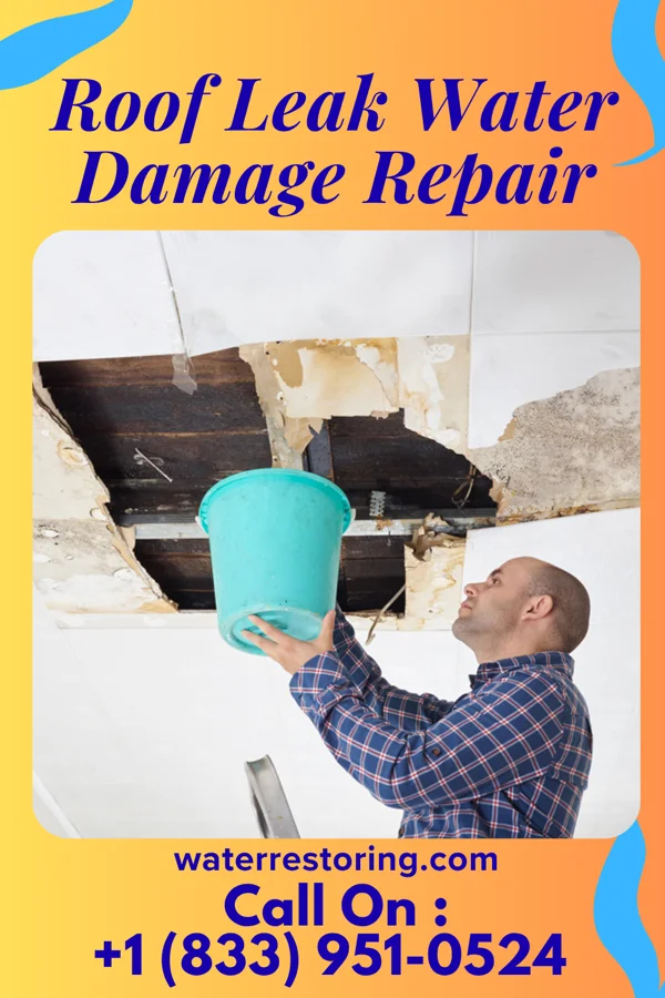 Roof Leak Water Damage Repair in St. Maurice, LA